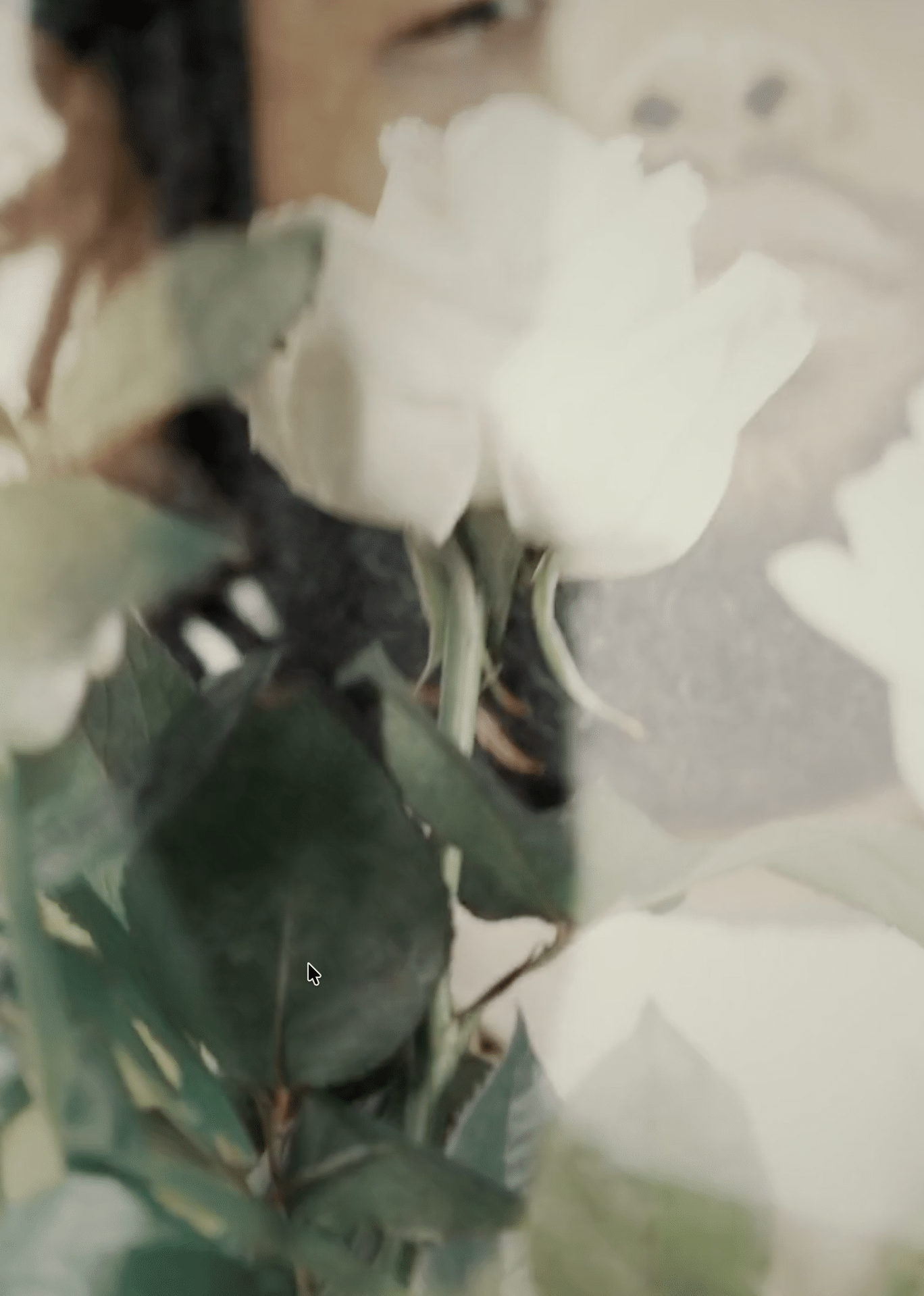 Screenshot 2026-03-13 at 16.42.50